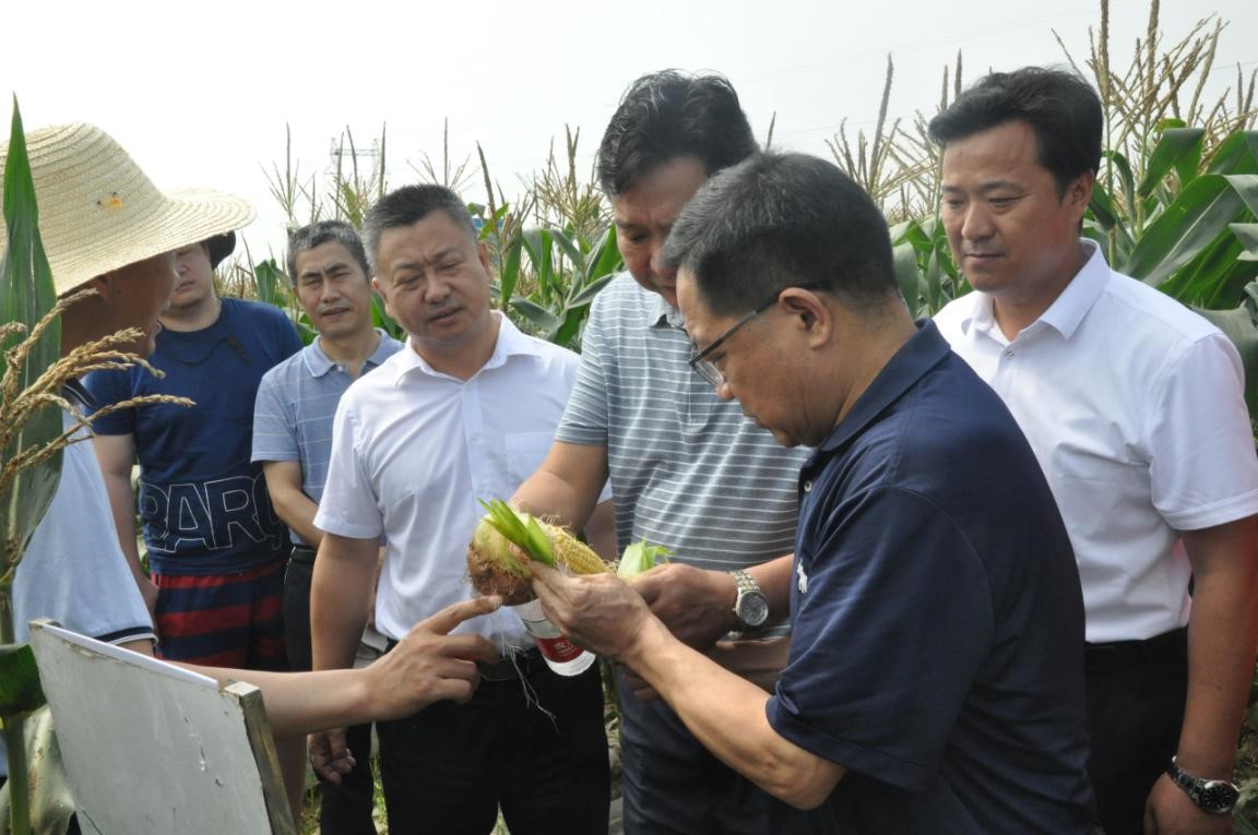 2021武汉种业博览会·鲜食玉米产业大会在省现代农业展示中心成功举办——规模化展示助力产业融合发展