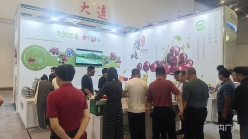 跨越三千公里 大连樱桃“云对接”海南展会，开启南北果蔬合作新篇章